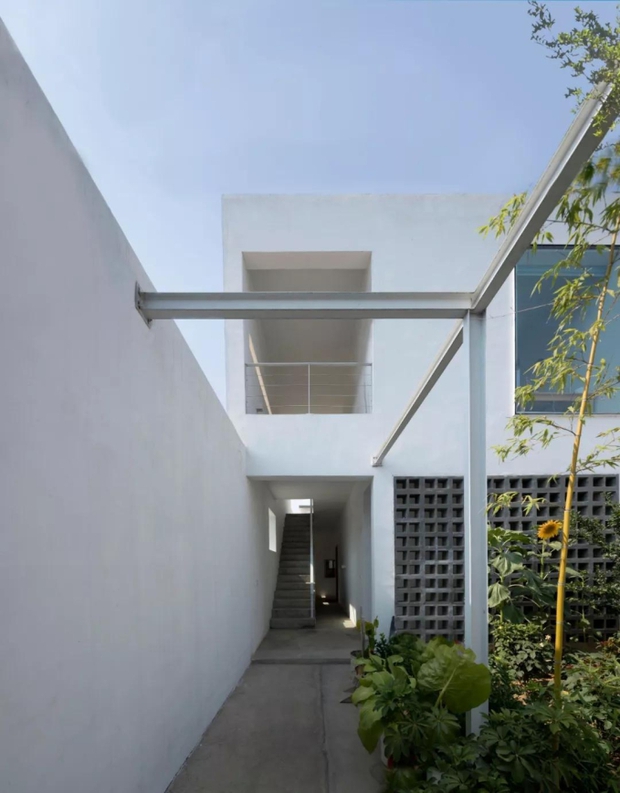 Con trai 40 tuổi xây căn nhà 200m2 để bố mẹ dưỡng già, có sân vườn trồng nhiều cây xanh ngập tràn ánh nắng-8