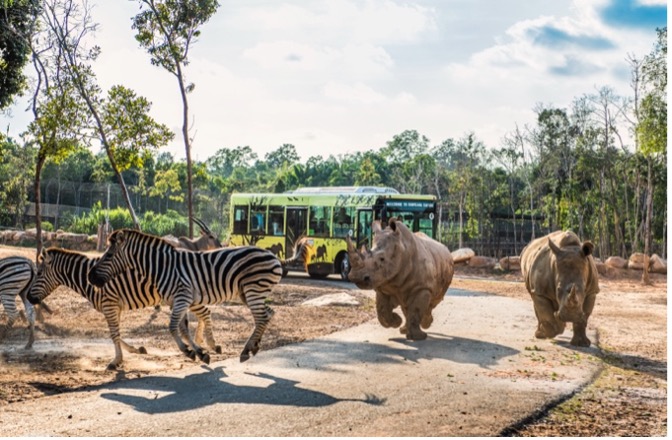 Phú Quốc liên tiếp đón các chuyến bay từ thị trường quốc tế-7