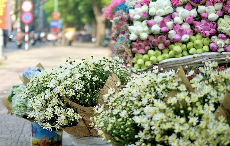 Hà Nội: Loại hoa đặc sản mùa thu” có giá 100 nghìn đồng/bó, dân buôn tranh mua-2
