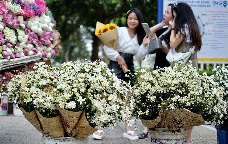 Hà Nội: Loại hoa đặc sản mùa thu” có giá 100 nghìn đồng/bó, dân buôn tranh mua-3