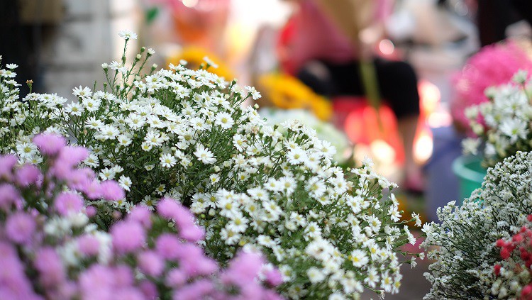 Hà Nội: Loại hoa đặc sản mùa thu” có giá 100 nghìn đồng/bó, dân buôn tranh mua-7