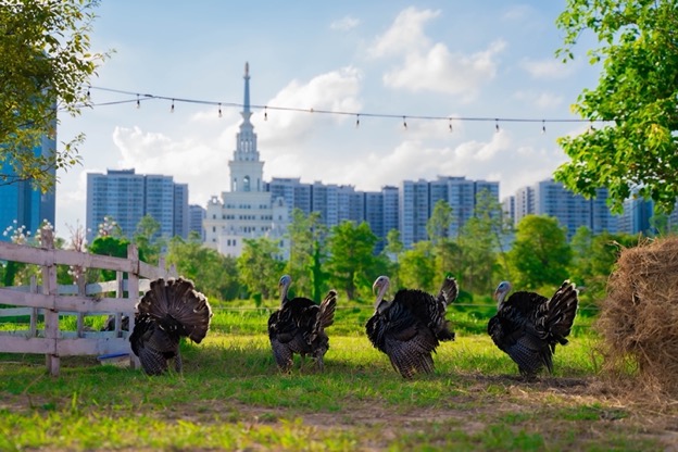 Kiếm bộn tiền nhờ kinh doanh du lịch dã ngoại ở Ocean City-1