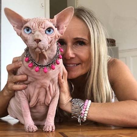 Cận cảnh loài mèo xấu nhất thế giới, giá hàng trăm triệu đồng-4