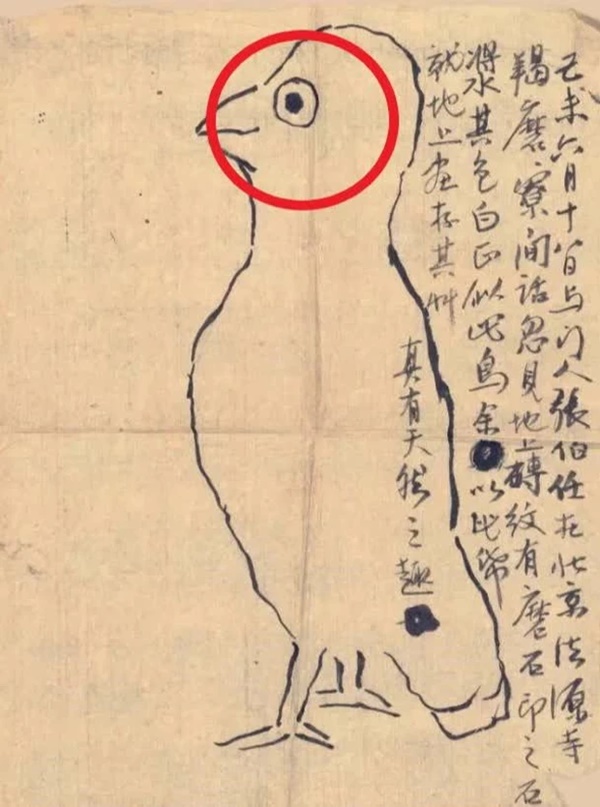 Bức họa nổi tiếng trị giá 33 tỷ đồng bị chê như trẻ con vẽ, chuyên gia xem xong phán một câu: Nhìn vào mắt chim-3