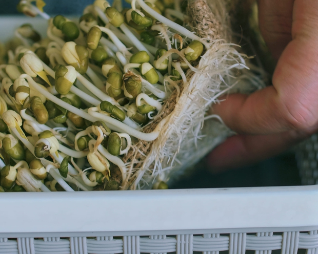 5 thực phẩm mỡ thừa sợ nhất, toàn món quen thuộc giúp giảm cân cực tốt-2