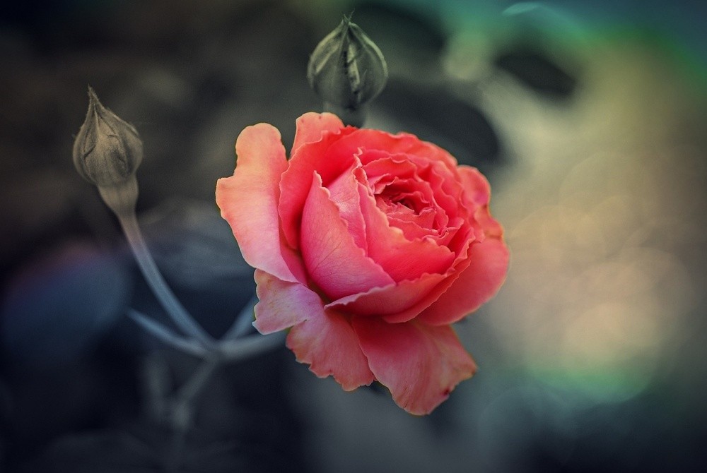 Năng nhặt chặt bị, 3 con giáp vận số đỏ rực, đếm tiền mỏi tay trong hai tháng cuối năm 2023-2