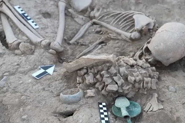 Bí ẩn cô gái được chôn cùng hơn 150 bộ xương động vật-1