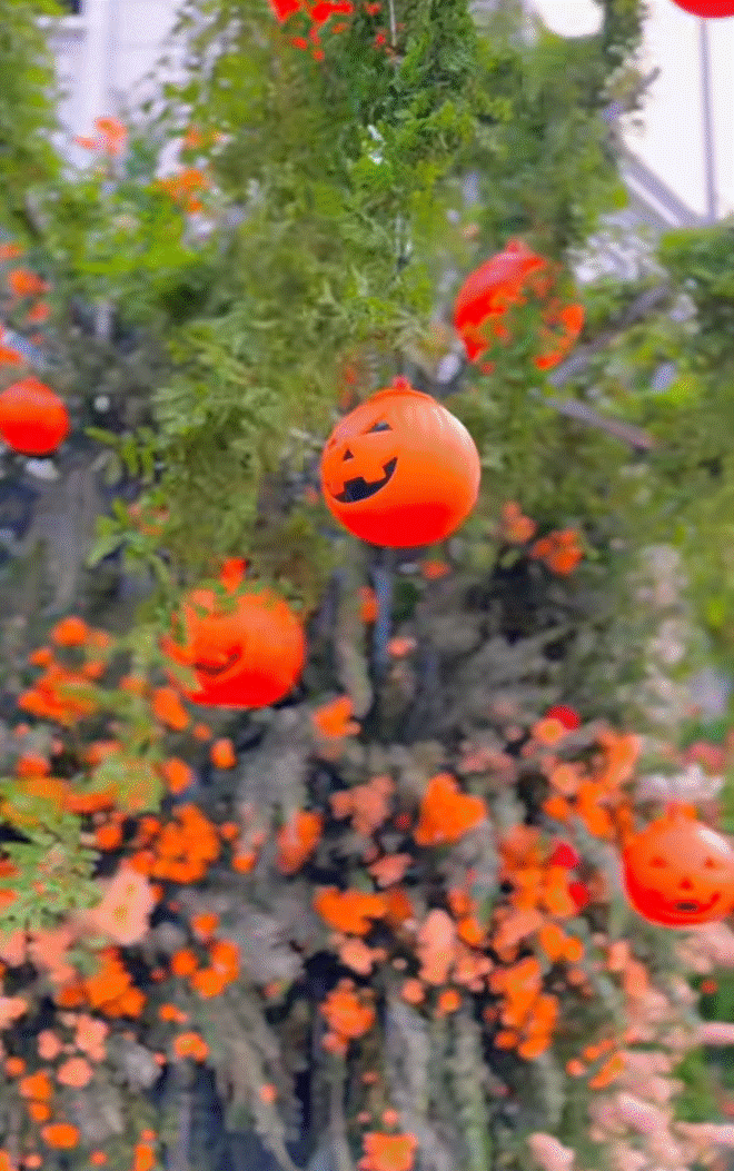 Nữ đại gia quận 7 Đoàn Di Băng trang trí biệt thự hoành tráng đón Halloween, ai nhìn cũng xuýt xoa quá đầu tư-1