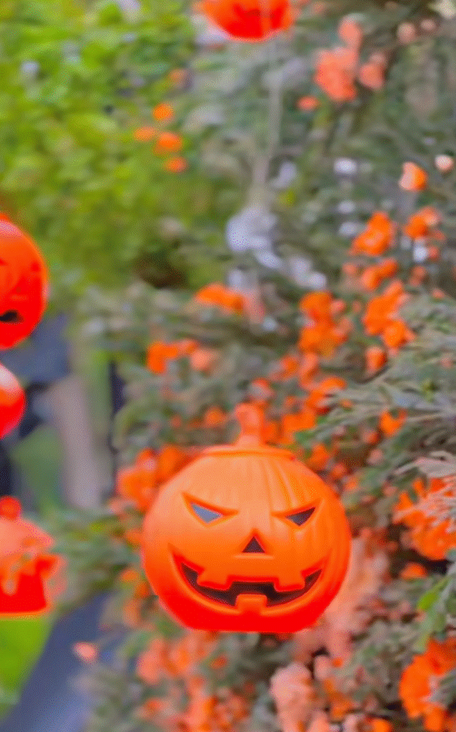 Nữ đại gia quận 7 Đoàn Di Băng trang trí biệt thự hoành tráng đón Halloween, ai nhìn cũng xuýt xoa quá đầu tư-2