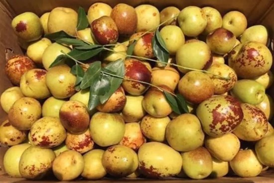 1 loại quả 