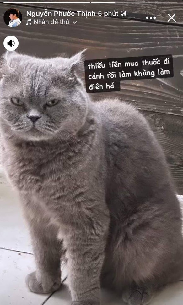 NS Đỗ Hiếu bất ngờ khen Đông Nhi sống đẹp hậu yêu cầu Noo Phước Thịnh dừng diễn loạt hit-3