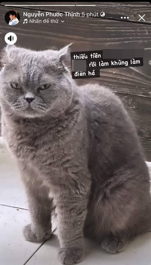 Động thái đầu tiên của Noo Phước Thịnh sau khi Đỗ Hiếu cấm hát loạt hit: Thiếu tiền… rồi làm khùng làm điên-3