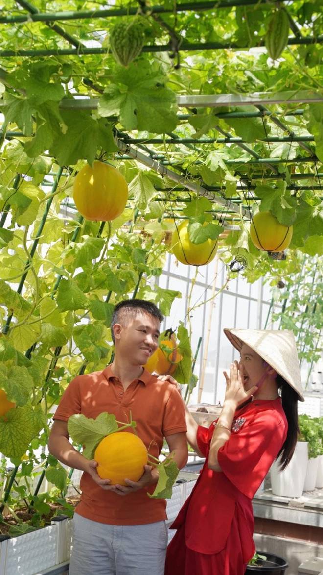 Mẹ đảm Đà Nẵng trồng dưa lê hoàng kim trên sân thượng, quả căng tròn, ngọt lịm chỉ sau 70 ngày-2