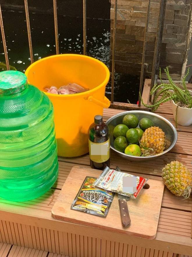 Mẹ đảm Đà Nẵng trồng dưa lê hoàng kim trên sân thượng, quả căng tròn, ngọt lịm chỉ sau 70 ngày-12