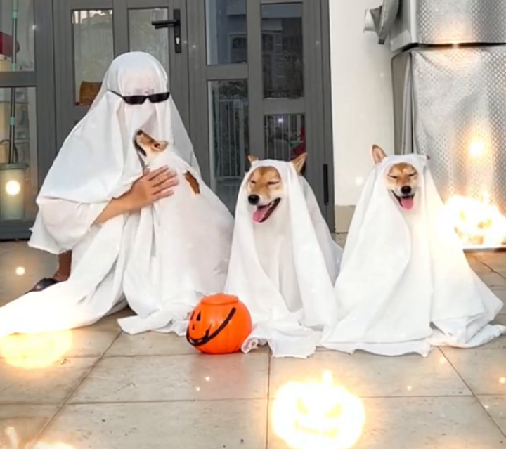 Những màn hoá trang Halloween lỗi khiến dân mạng khó nhịn cười-11