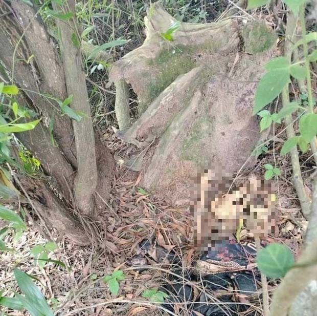 Bình Dương: Công an truy tìm tung tích hài cốt dưới gốc cây-2