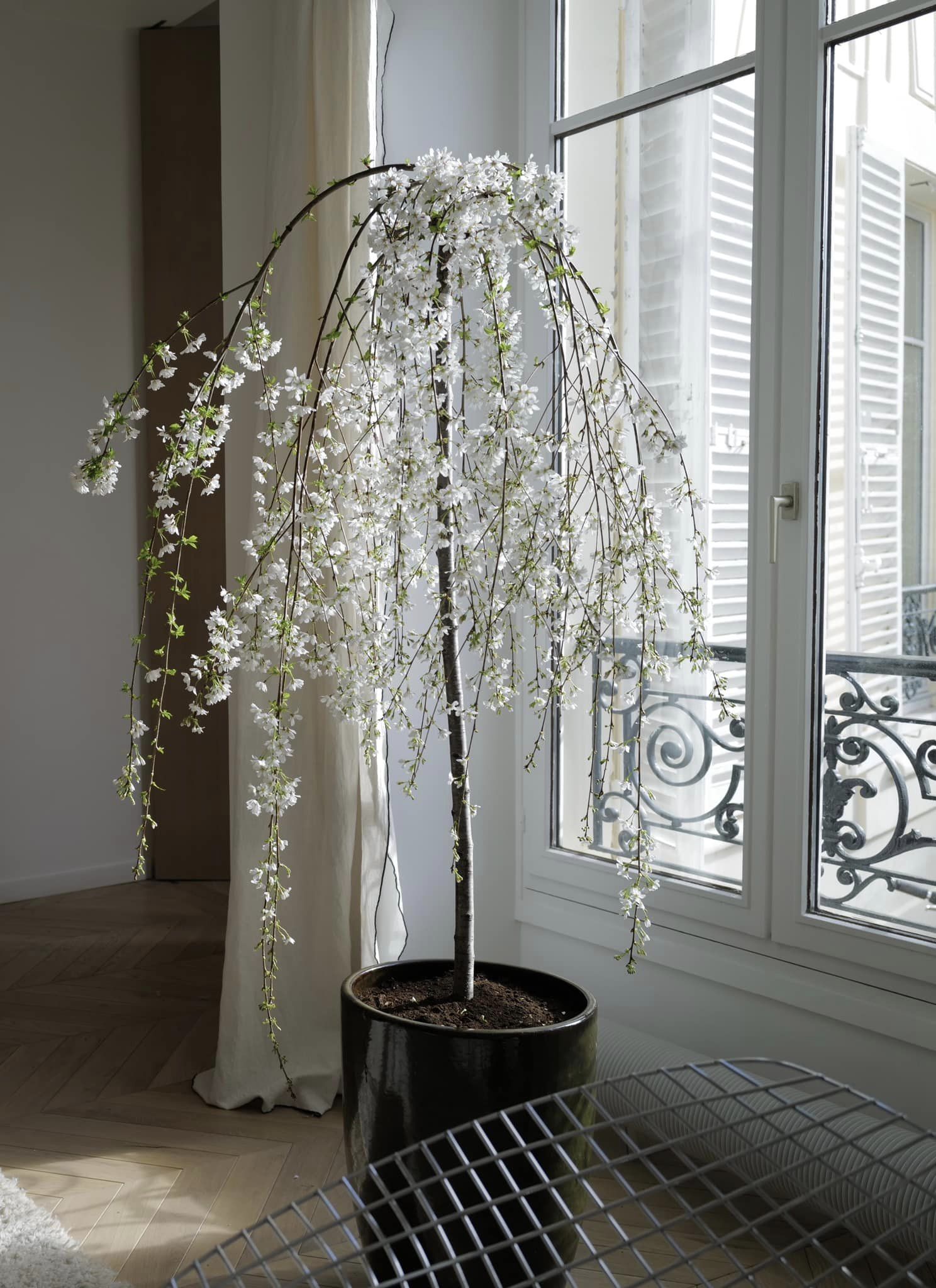 Nhà chị đại Hồng Nhung ở Paris: Không gian sống đẳng cấp, nhìn góc nào cũng nghệ-13