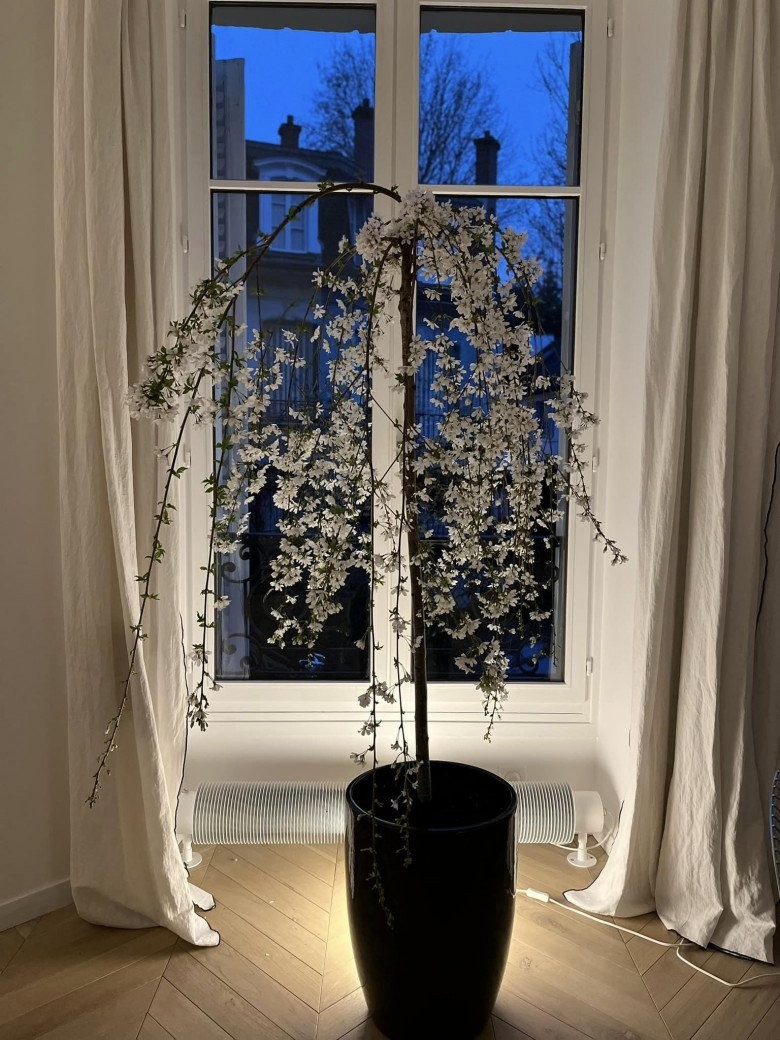 Nhà chị đại Hồng Nhung ở Paris: Không gian sống đẳng cấp, nhìn góc nào cũng nghệ-14