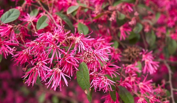 Tử vi ngày 1/11/2023: Tuổi Ngọ tài chính thăng hoa, tuổi Tuất bài học đáng giá-2