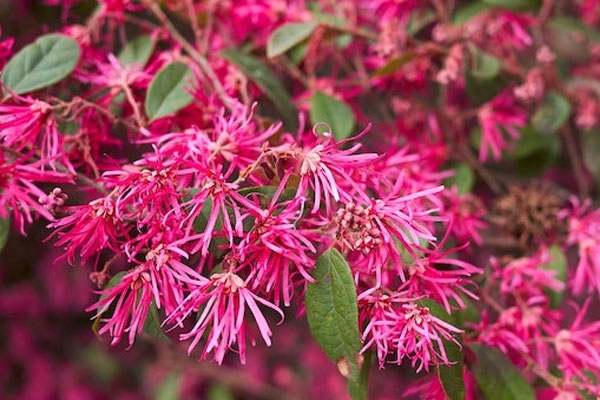 Mặc kệ hạn Thái Tuế năm 2024, 3 con giáp này vẫn đạp qua sóng gió thu về nhiều tài lộc, sự nghiệp thăng tiến vèo vèo-4