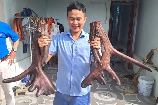 Loại hải sản nhà giàu”, ngon hơn tôm hùm có giá rẻ bất ngờ-6