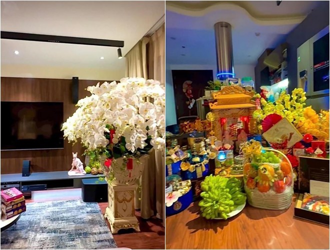 Lệ Quyên flex với Diva Mỹ Linh mỗi nơi có 1 căn nhà: Cận cảnh biệt thự 600m2 nguy nga, có cả nhà ở Mỹ-15