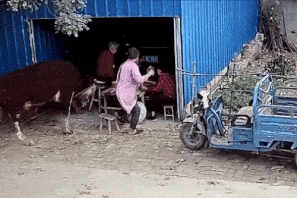 Gấu hoang tấn công nhân viên bên trong khu nghĩ dưỡng-1