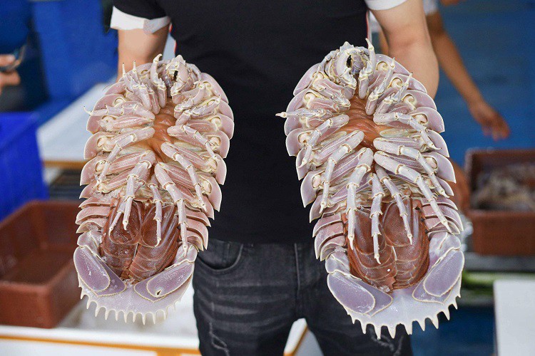 Loại hải sản nhà giàu”, ngon hơn tôm hùm có giá rẻ bất ngờ-1