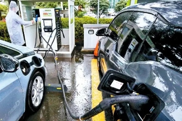 Những thực phẩm nào không nên bảo quản trong ngăn đông?-6