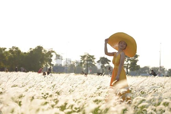 Thời tiết Hà Nội 3 ngày tới: Nắng thu dịu mát liên tiếp trước khi lại có mưa