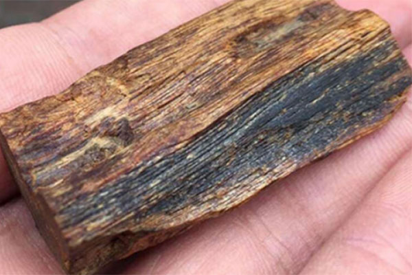 Loại gỗ cực kỳ quý hiếm có tiền khó mua, nước ngoài săn lùng-1