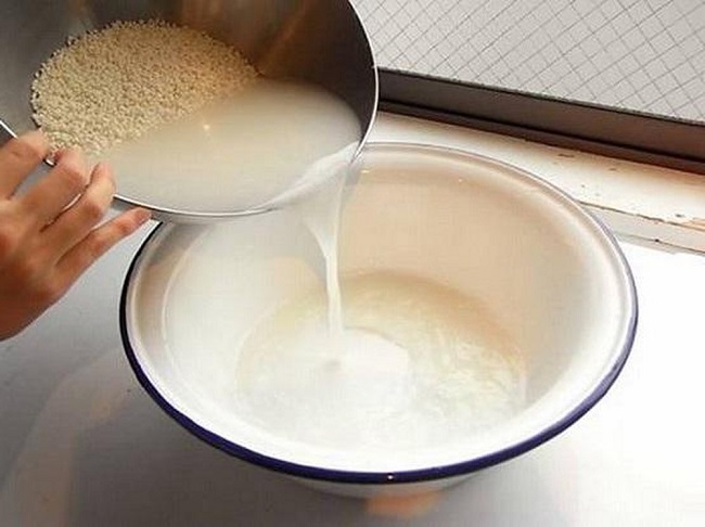 Cây kim tiền rất thích những loại nước này, 2 tuần tưới 1 lần cây tươi tốt ra nhiều trồi hút nhiều tài lộc-5