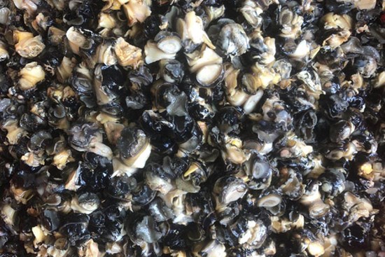Loài vật tưởng không giá trị, nay được lùng mua giá cao lên đến 70.000 đồng/kg