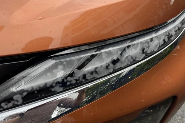 Bộ phận ngay cửa tủ lạnh nhưng ít ai để ý: Hỏng hóc vừa mất vệ sinh, vừa gây tốn điện-7