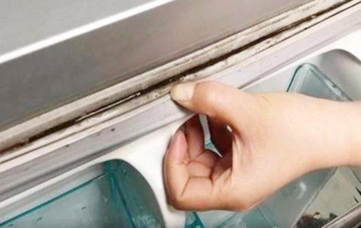 Bộ phận ngay cửa tủ lạnh nhưng ít ai để ý: Hỏng hóc vừa mất vệ sinh, vừa gây tốn điện-3