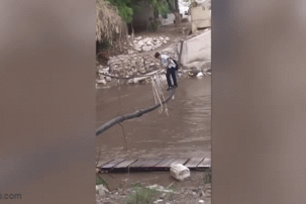 Clip: Học sinh phải đi cầu dây tạm qua sông đầy cá sấu đến trường