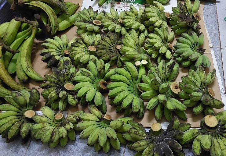 Bán loại chuối kỳ lạ, phải nấu lên mới ăn được, dân buôn có ngày bán hơn tạ-3