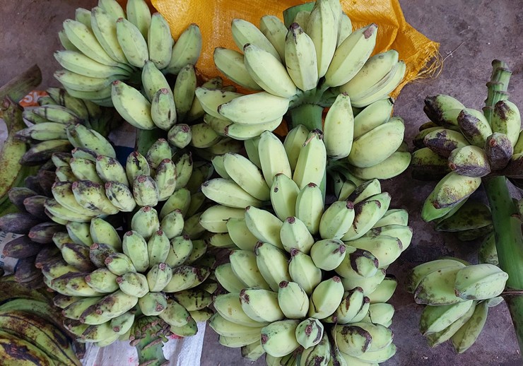 Bán loại chuối kỳ lạ, phải nấu lên mới ăn được, dân buôn có ngày bán hơn tạ-2