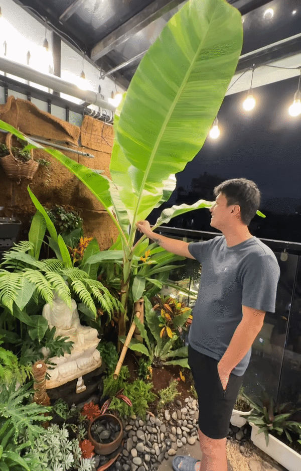 Căn nhà 9 tầng của Bạch Lan Phương - bạn gái Huỳnh Anh: Chi gần 10 tỷ đồng để sửa sang, chính chủ miệt mài flex” view triệu đô-2