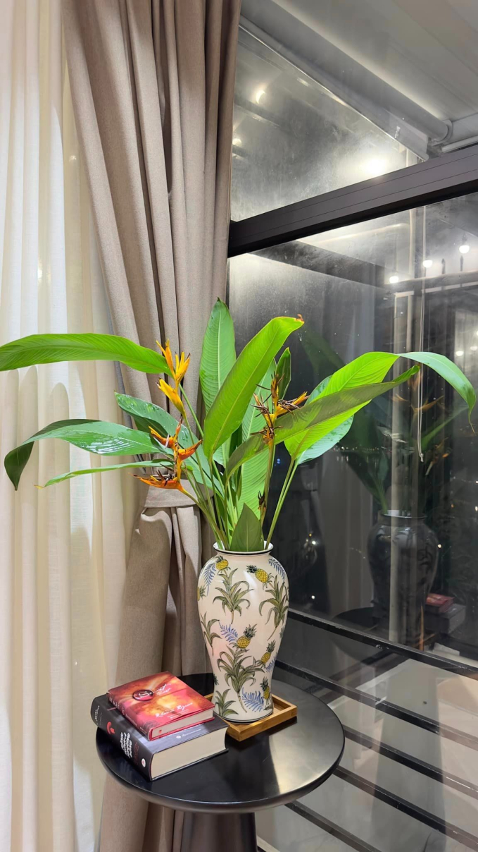 Căn nhà 9 tầng của Bạch Lan Phương - bạn gái Huỳnh Anh: Chi gần 10 tỷ đồng để sửa sang, chính chủ miệt mài flex” view triệu đô-4