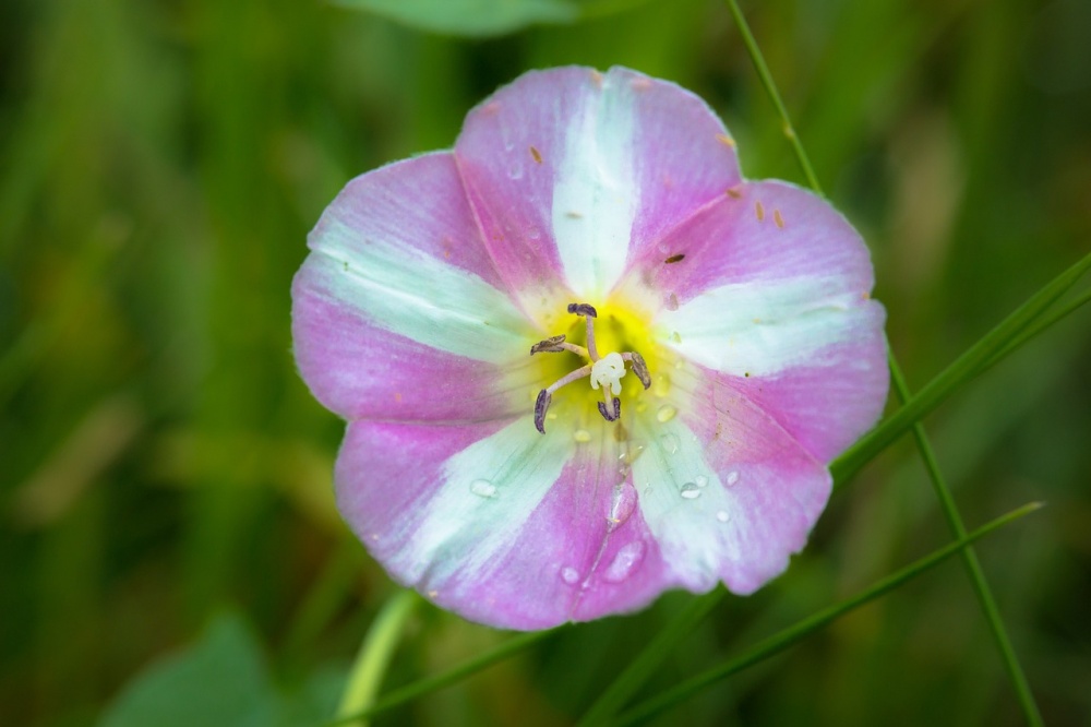 Tham vọng mạnh mẽ: 3 con giáp được dự đoán sẽ làm nên chuyện, tài lộc tràn trề trong tháng 11-1
