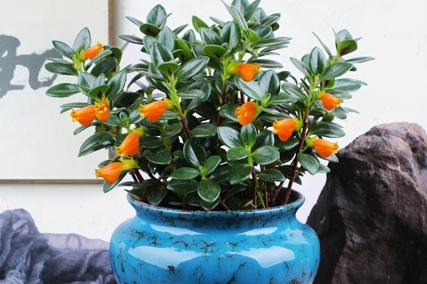 Dù nhà lớn hay nhỏ, mở cửa ra đừng để thấy 3 thứ này, đây không phải mê tín-4