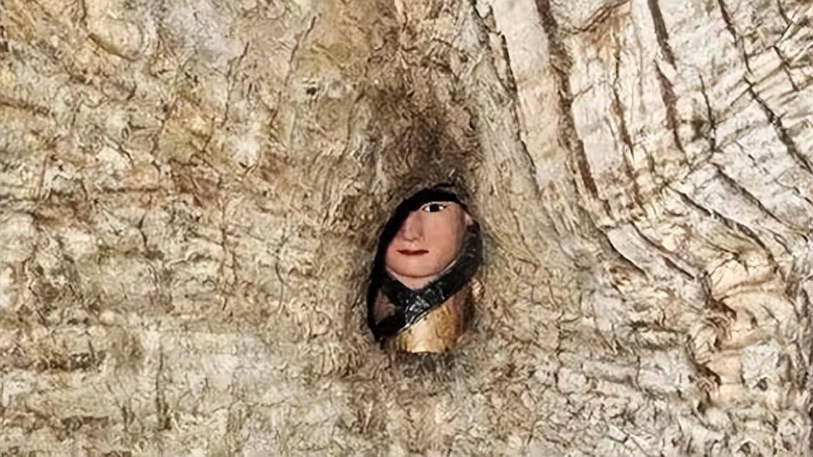 Bí ẩn cây ôm tượng Phật ở Trung Quốc: Chuyên gia giải mã từ câu chuyện già làng kể lại-2