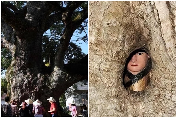 Bí ẩn về cấu trúc rỗng và kho báu bí ẩn bên trong dãy Himalaya-7