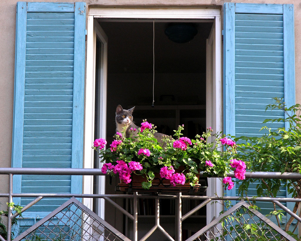 Những ngôi nhà có ban công đầy hoa khiến bạn không thể thôi ngắm nhìn-5