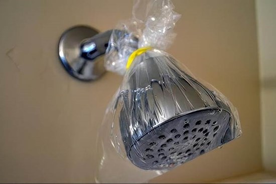 Mẹo làm sạch ổ vi khuẩn gây bệnh từ vòi hoa sen