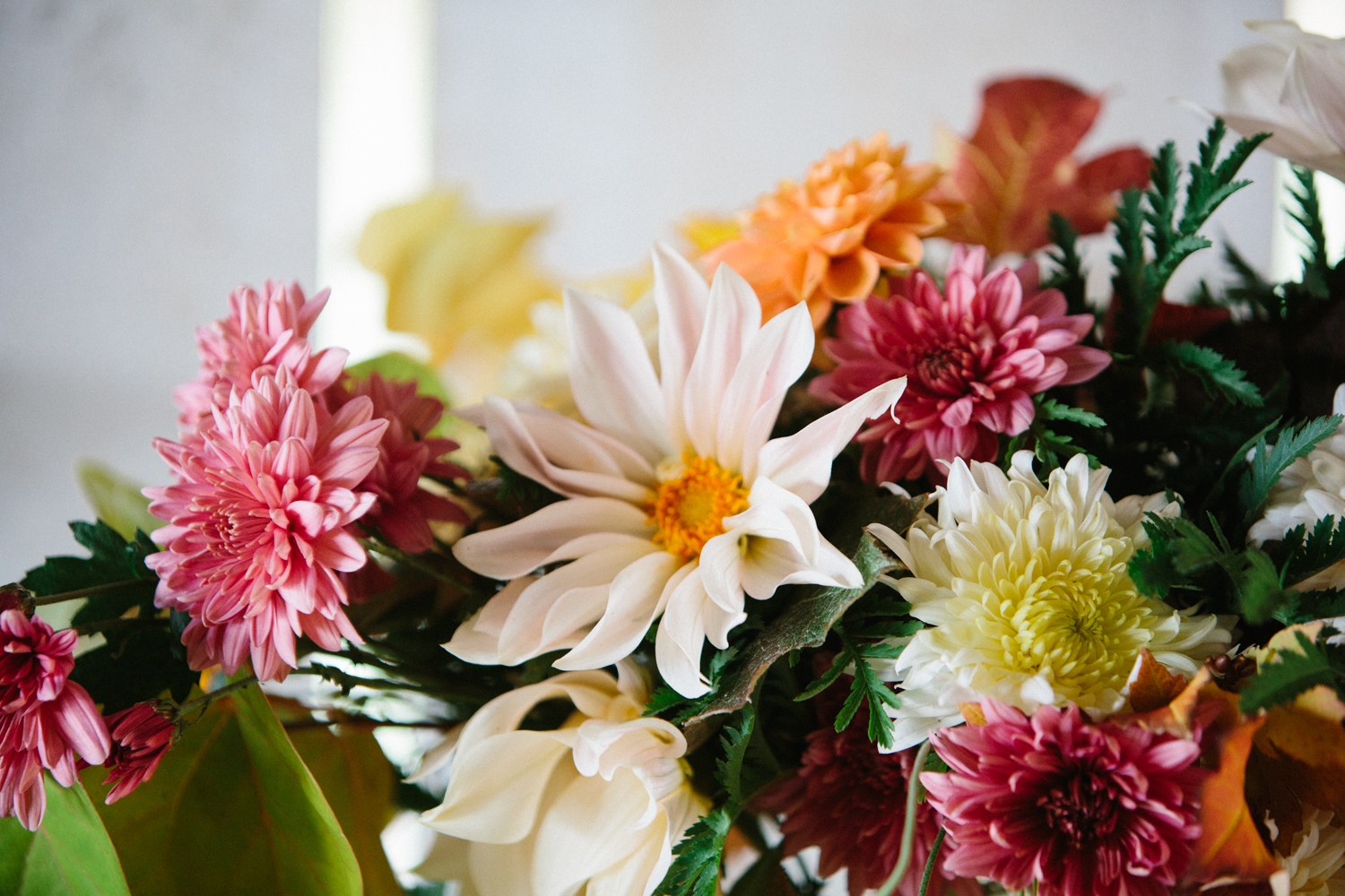 Phước lành bao bọc: 3 con giáp tài trí hơn người, khởi nghiệp suôn sẻ trong tháng cuối năm-2