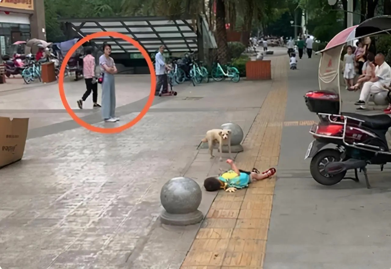 Con lăn lộn ăn vạ trên đường, người mẹ có cách làm khiến nhiều người phục: Đây là lý do vì sao có trẻ ngoan, trẻ hư!-2