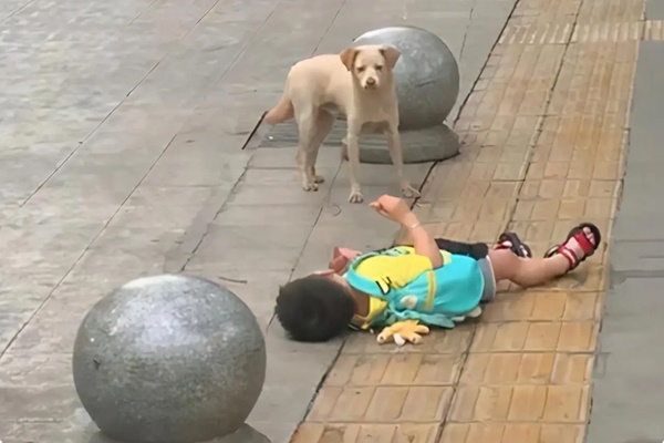 Con trai thủ thỉ: Mẹ ơi, bạn nào trong lớp cũng giàu, câu trả lời của người mẹ thổi bùng tranh luận-2