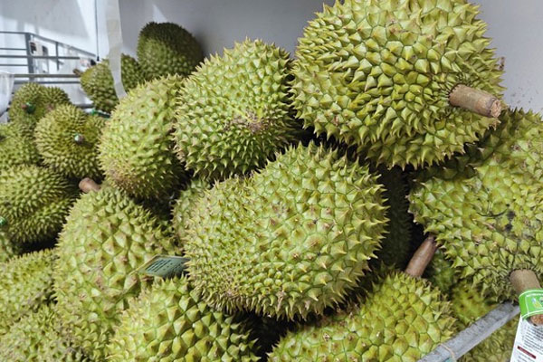 Sầu riêng lại lên cơn sốt giá, doanh nghiệp có lúc không mua được trái nào-1